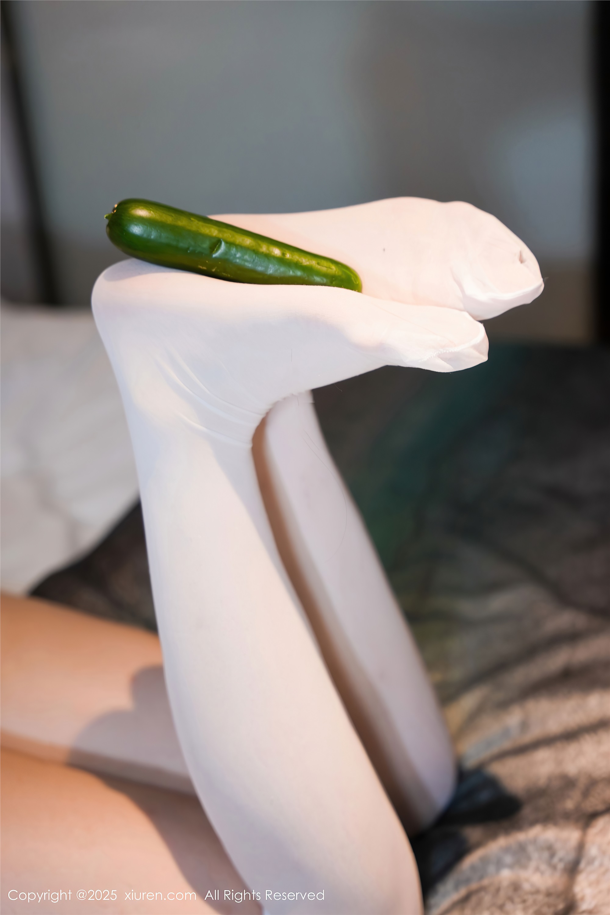 Xiuren秀人网 2025.08.08 NO.10631 软情